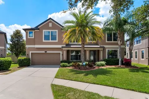 11603 Palmetto Pine St, Riverview, FL 33569