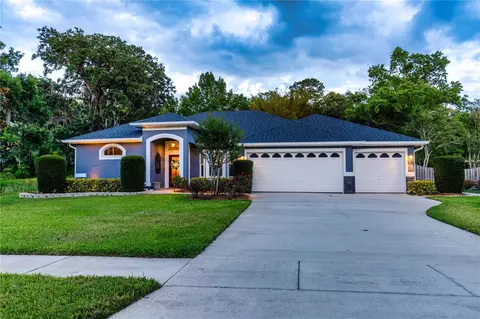 9917 Country Carriage Cir, Riverview, FL 33569