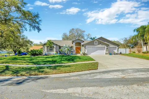 3904 Napa Pl, Valrico, FL 33596