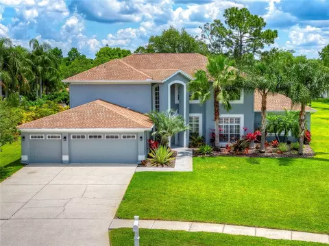 17418 Equestrian Trl, Odessa, FL 33556