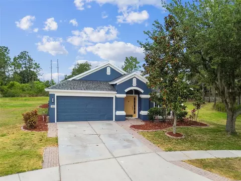7923 Blackhill St, Wesley Chapel, FL 33544