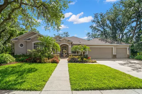 15921 Sorawater Dr, Lithia, FL 33547