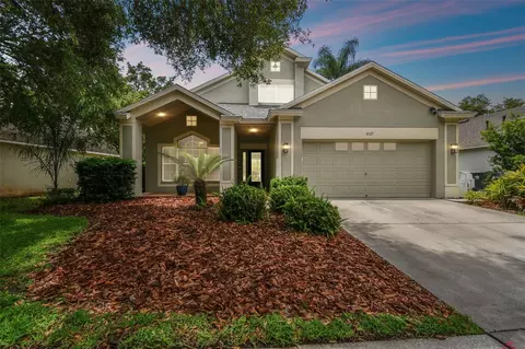 6125 Gannetdale Dr, Lithia, FL 33547