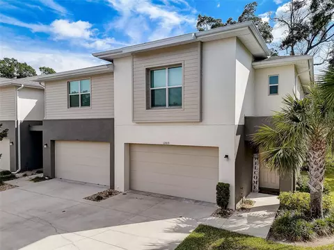 12819 Sanctuary Vista Trl, Tampa, FL 33625