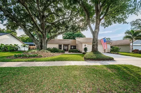 13808 Lake Village Pl, Tampa, FL 33618