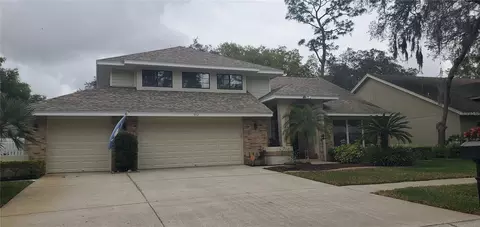 5712 Piney Lane Dr, Tampa, FL 33625