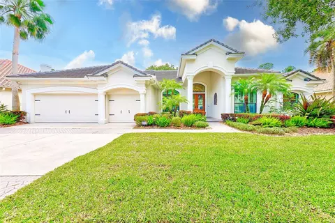 9915 Tree Tops Lake Rd, Tampa, FL 33626