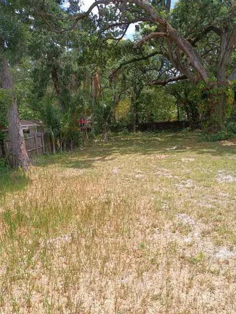 5909 N Eustace Ave, Tampa, FL 33604