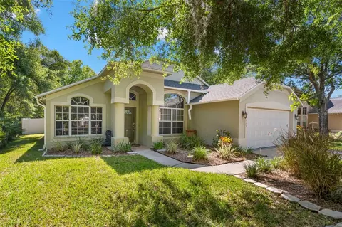 19025 Silverbrook Dr, Tampa, FL 33647