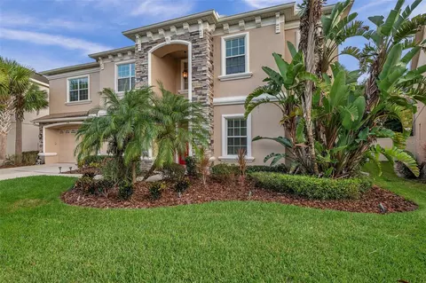 17331 Chelsea Downs Cir, Lithia, FL 33547