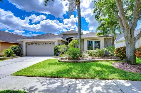 10338 Lightner Bridge Dr, Tampa, FL 33626