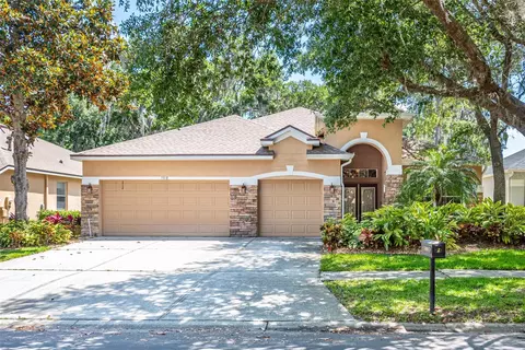 5918 Tealwater Pl, Lithia, FL 33547
