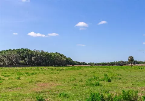 419 Jameson Rd, Lithia, FL 33547