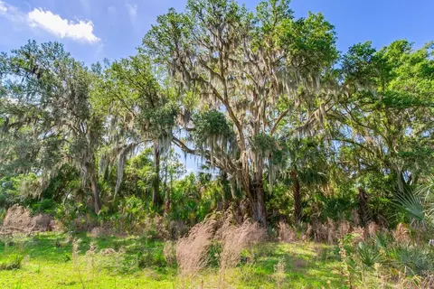 1 Jameson Rd, Lithia, FL 33547