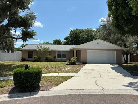 4106 Fallon Ct, Brandon, FL 33511