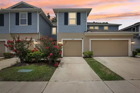 2154 Laceflower Dr, Brandon, FL 33510