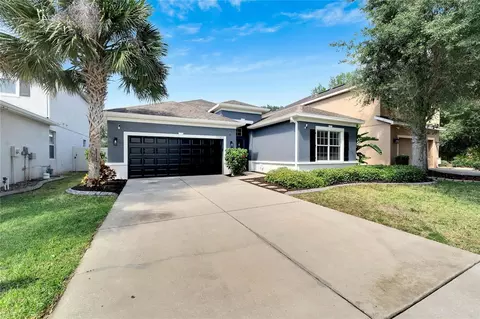 17303 Chelsea Downs Cir, Lithia, FL 33547