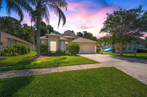 14627 Corkwood Dr, Tampa, FL 33626