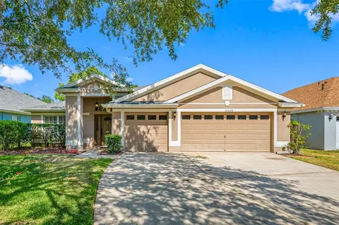 10559 San Travaso Dr, Tampa, FL 33647