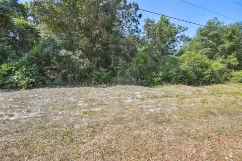 Dion Ave, New Port Richey, FL 34654