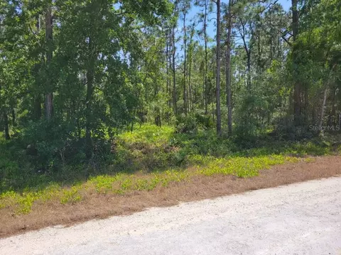 13332 Schick Ave, Weeki Wachee, FL 34614