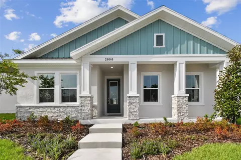 28646 Sweet Persimmon Dr, Wesley Chapel, FL 33543