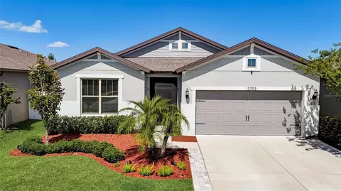 13703 Tonya Anne Dr, Riverview, FL 33579