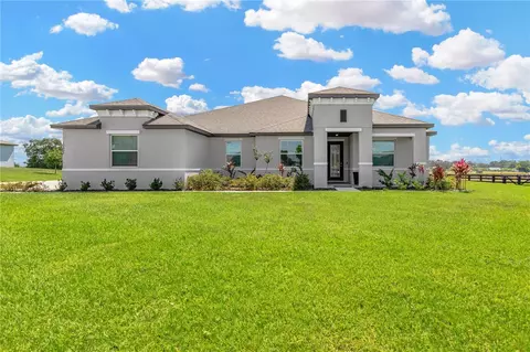 10022 Dolphin Gull Cir, Thonotosassa, FL 33592