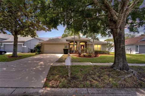 3701 Treeline Dr, Valrico, FL 33596