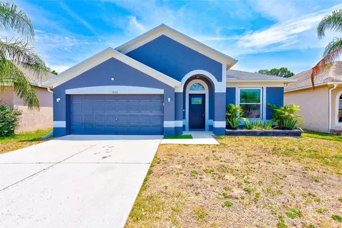 1003 Grand Canyon Dr, Valrico, FL 33594