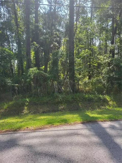 7630 Brookline St, Wesley Chapel, FL 33544