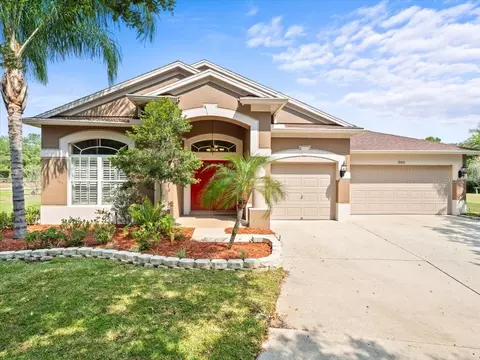 19102 Fern Meadow Loop, Lutz, FL 33558
