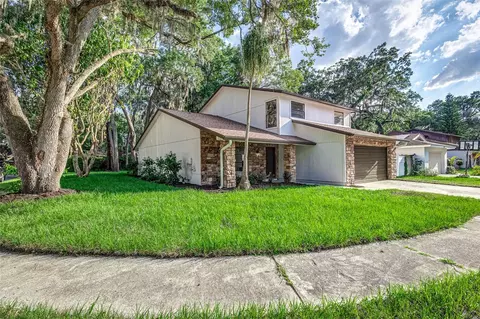 14842 Oak Vine Dr, Lutz, FL 33559