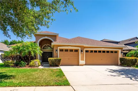 15611 Starling Water Dr, Lithia, FL 33547