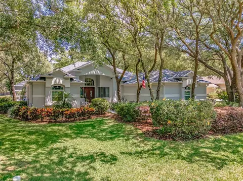 5821 Audubon Manor Blvd, Lithia, FL 33547