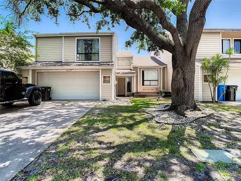 4105 Starfish Ln, Tampa, FL 33615