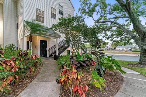 3265 Haviland Ct #204, Palm Harbor, FL 34684