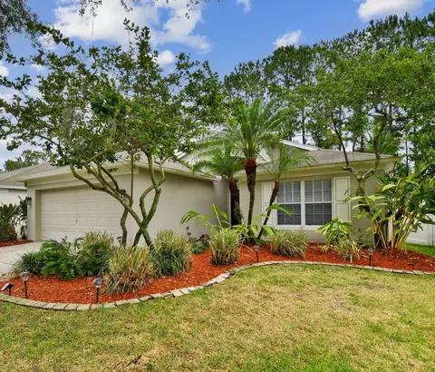 4452 Marchmont Blvd, Land O Lakes, FL 34638