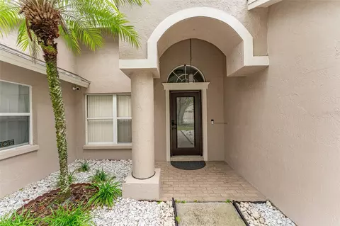 9115 Rockrose Dr, Tampa, FL 33647
