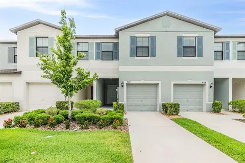 4022 Wild Senna Blvd, Tampa, FL 33619