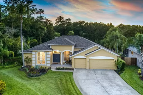 10612 Chambers Dr, Tampa, FL 33626