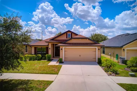 12258 Legacy Bright St, Riverview, FL 33578