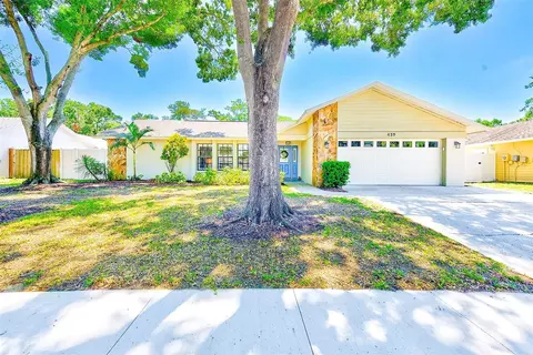 459 Oak Creek Ln, Palm Harbor, FL 34684