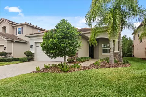 31110 Lindentree Dr, Wesley Chapel, FL 33543