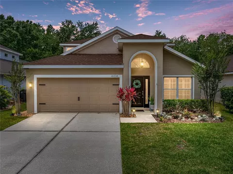 10234 Woodford Bridge St, Tampa, FL 33626