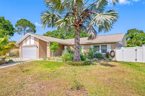 14305 Chaparell Pl, Tampa, FL 33625