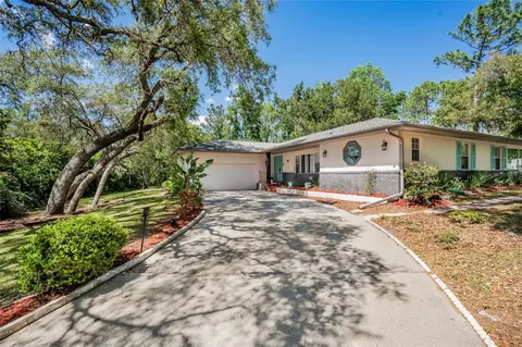 10 Byrsonima Ct, Homosassa, FL 34446