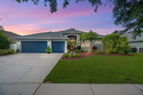 17713 Currie Ford Dr, Lutz, FL 33558