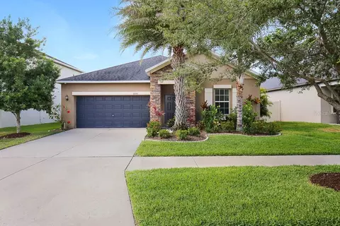 11051 Little Blue Heron Dr, Riverview, FL 33579