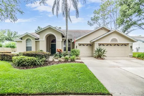 3906 Blue Maidencane Pl, Valrico, FL 33596